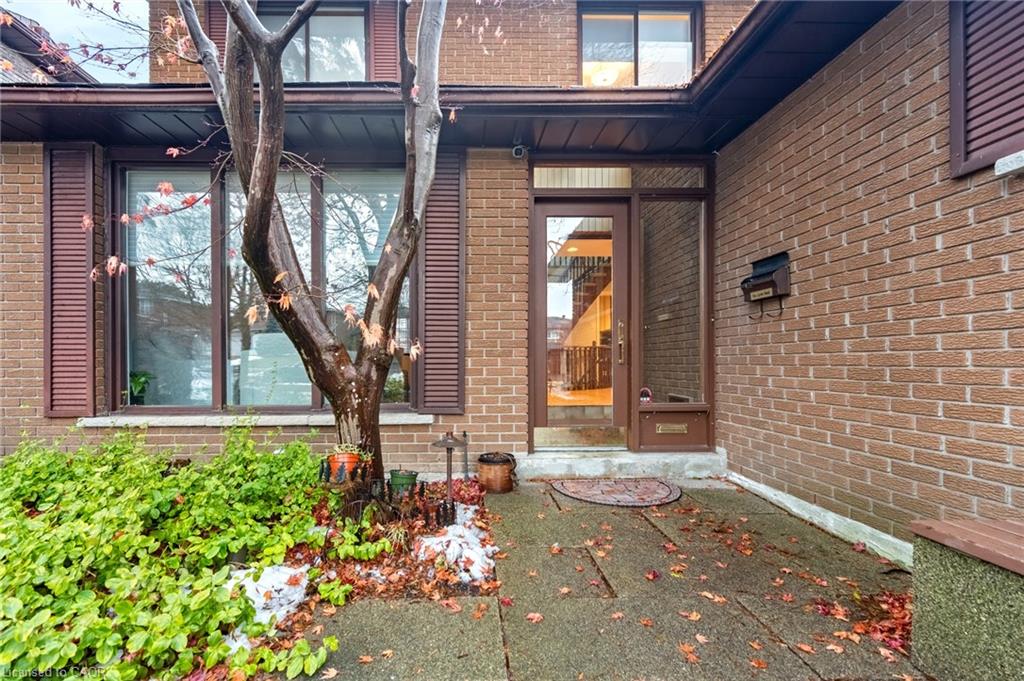 13 Mistflower Road Property Photo 4