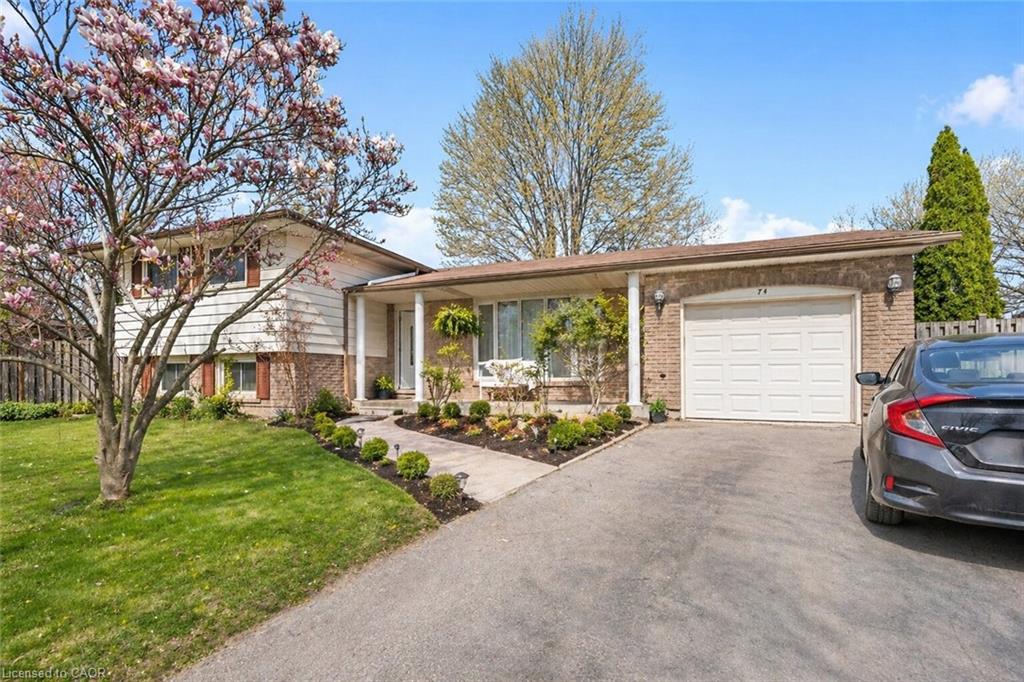 74 Macoomb Drive Property Photo 3