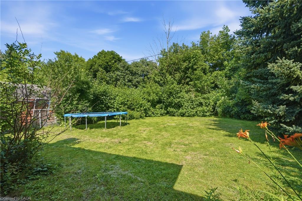 38 High Street Property Photo 29