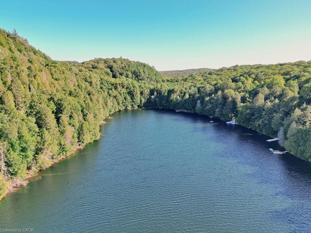 1123 Blue Lake Road Property Photo 4