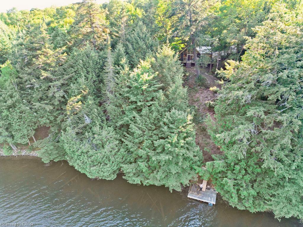 1123 Blue Lake Road Property Photo 41