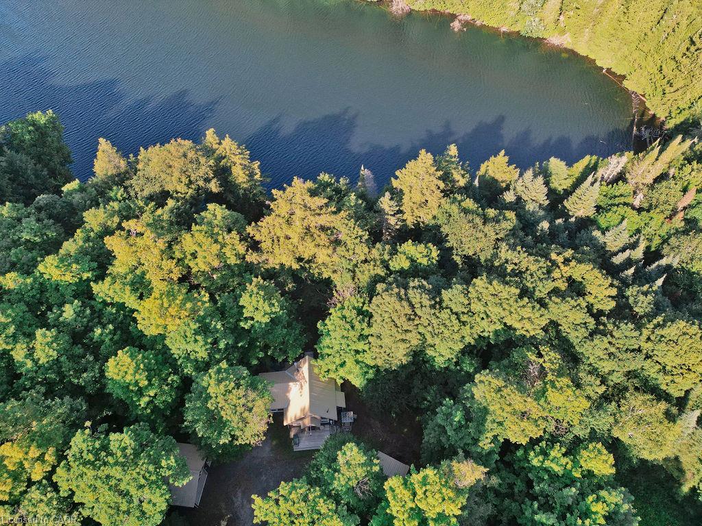 1123 Blue Lake Road Property Photo 44