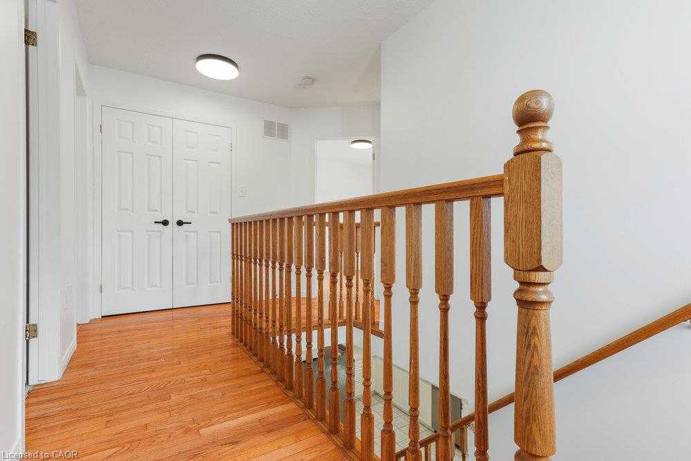 48 Evans Street Property Photo 17