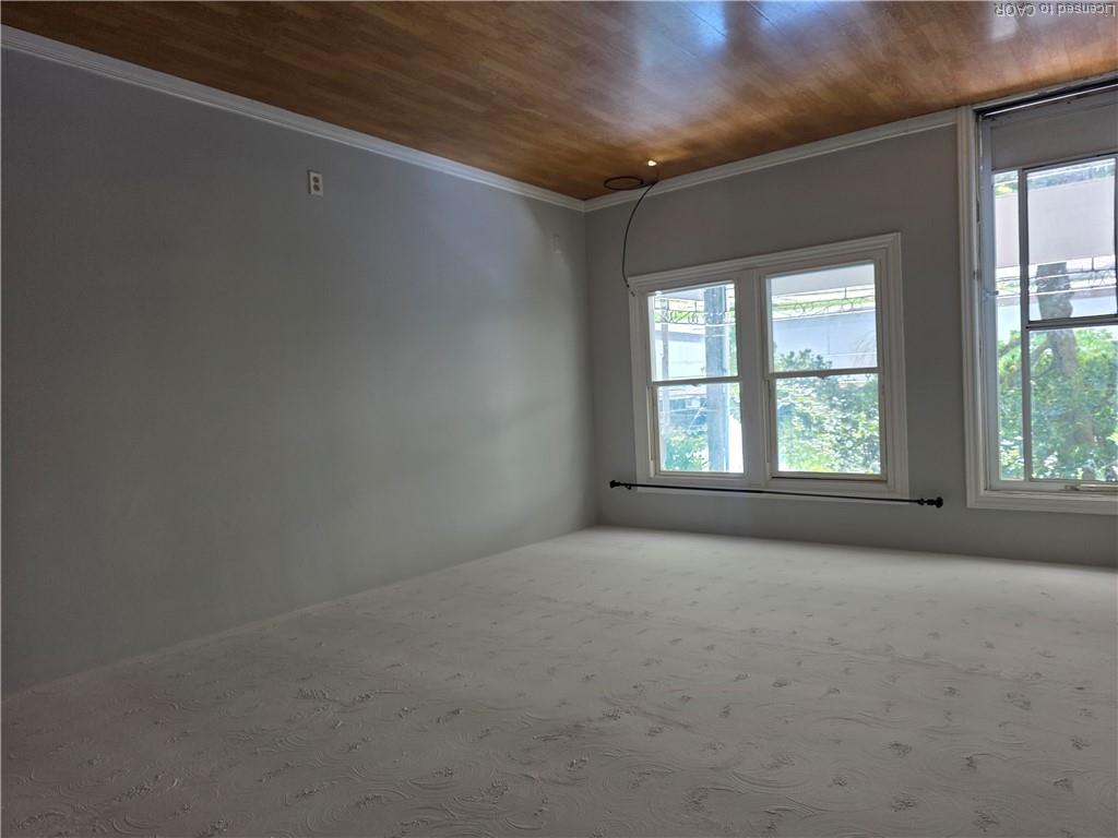 3-362 Grey Street Property Photo 7