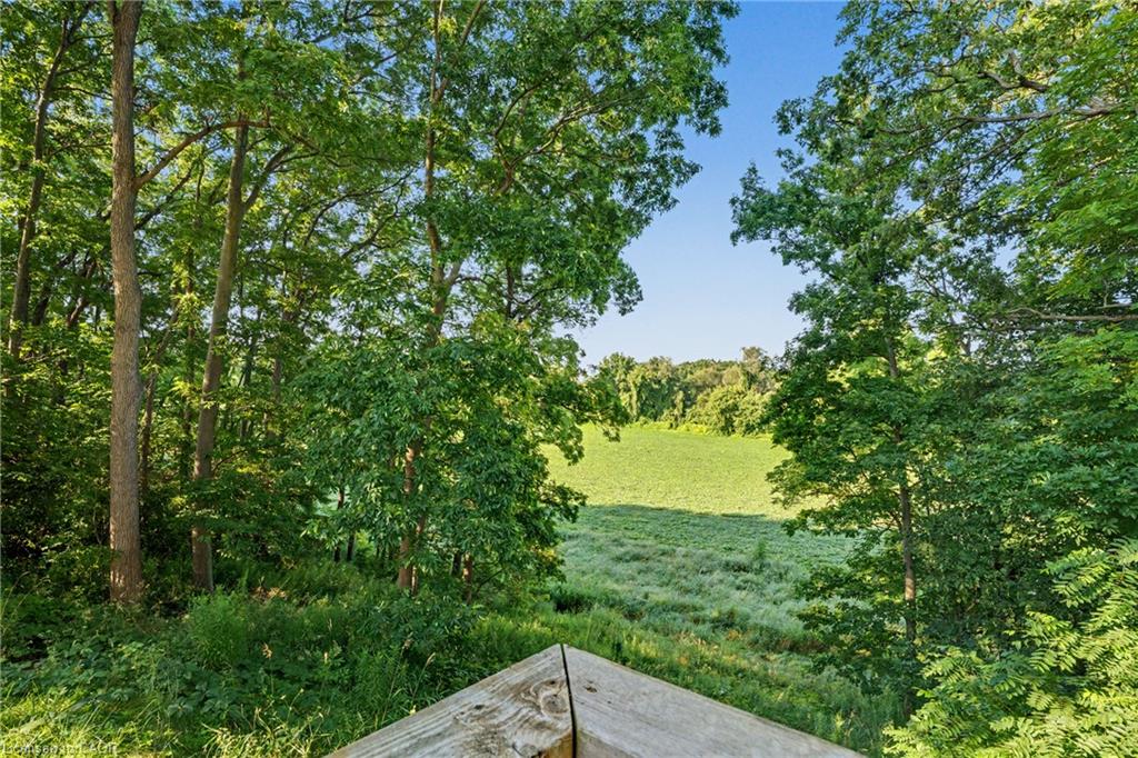 975 Haldimand Hwy 54 Property Photo 40