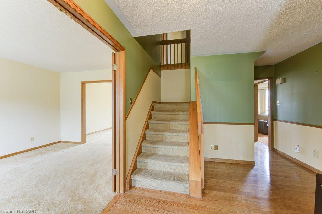 27 Walmer Gardens Property Photo 3