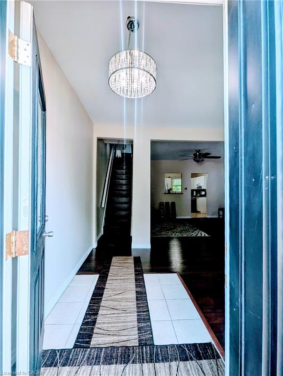 81 Grey Street Property Photo 6