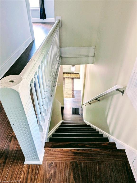 81 Grey Street Property Photo 15