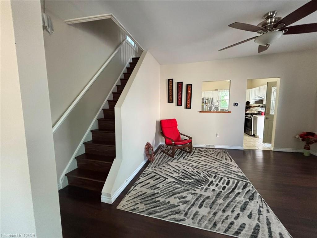 81 Grey Street Property Photo 15