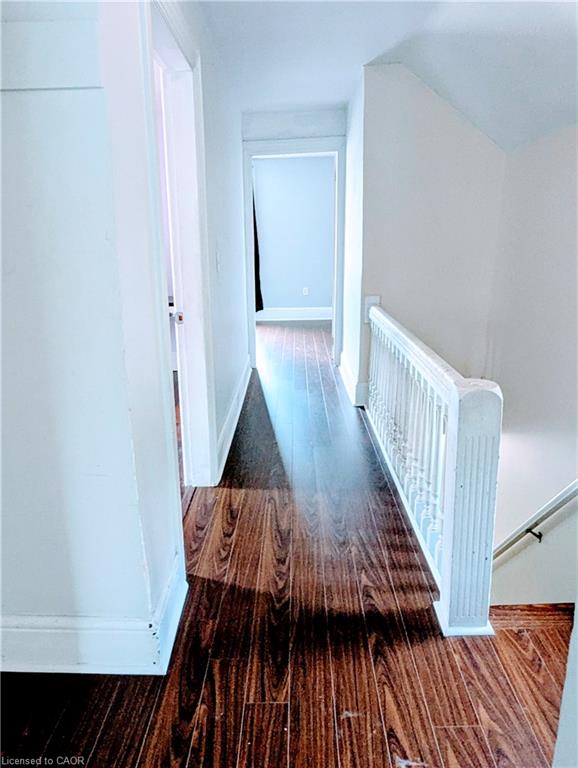 81 Grey Street Property Photo 16
