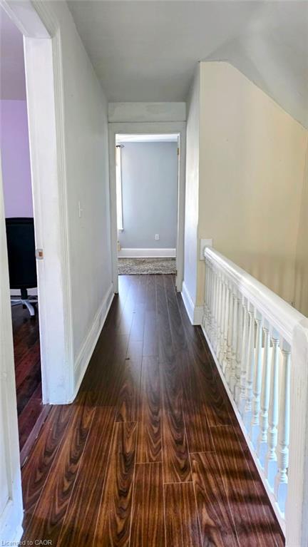 81 Grey Street Property Photo 23