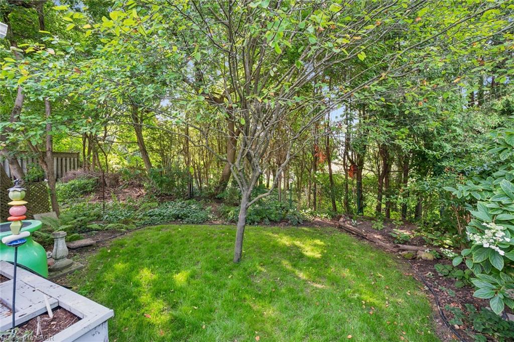 18 June Avenue Property Photo 37