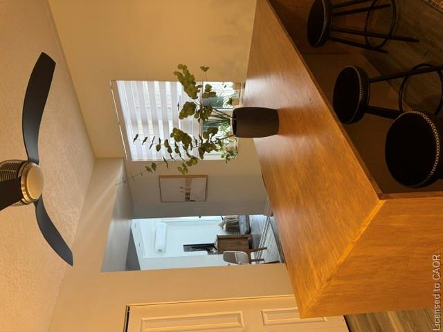 93 Cloverdale Avenue Property Photo 18