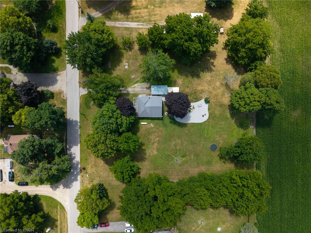 15 Middlemiss Avenue Property Photo 5