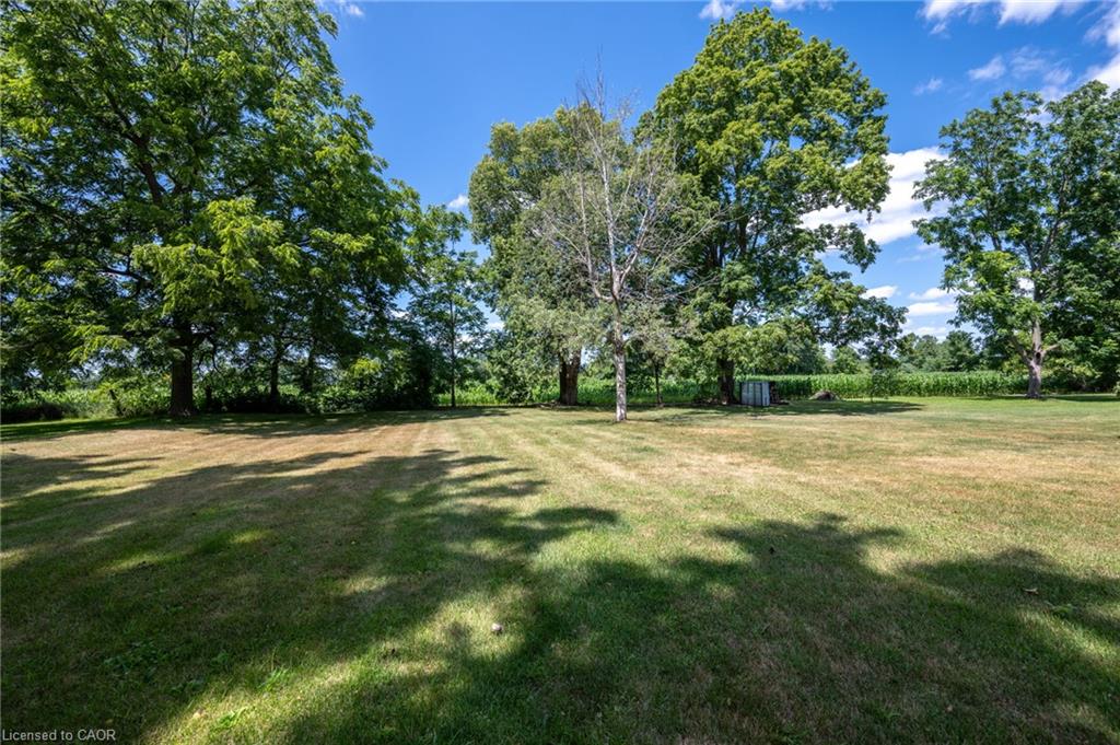 15 Middlemiss Avenue Property Photo 23