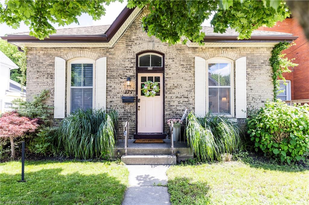 175 Albion Street Property Photo 1