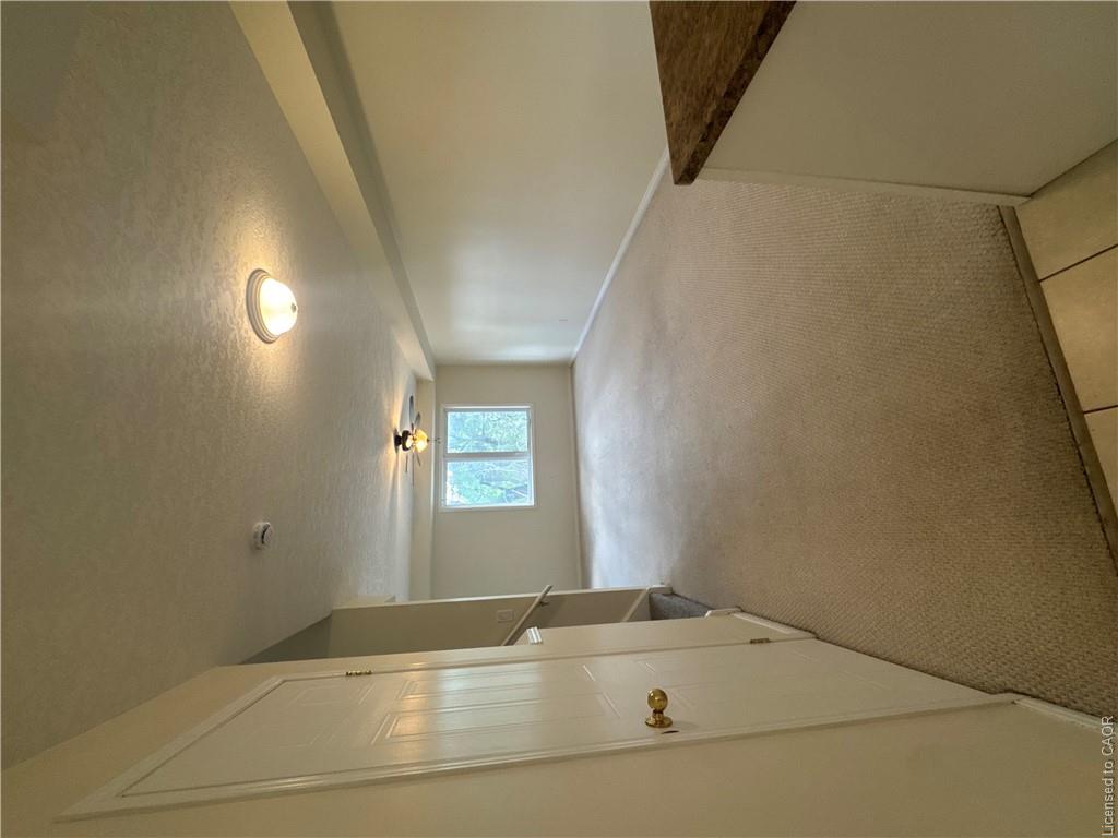 116 Walter Street Property Photo 8