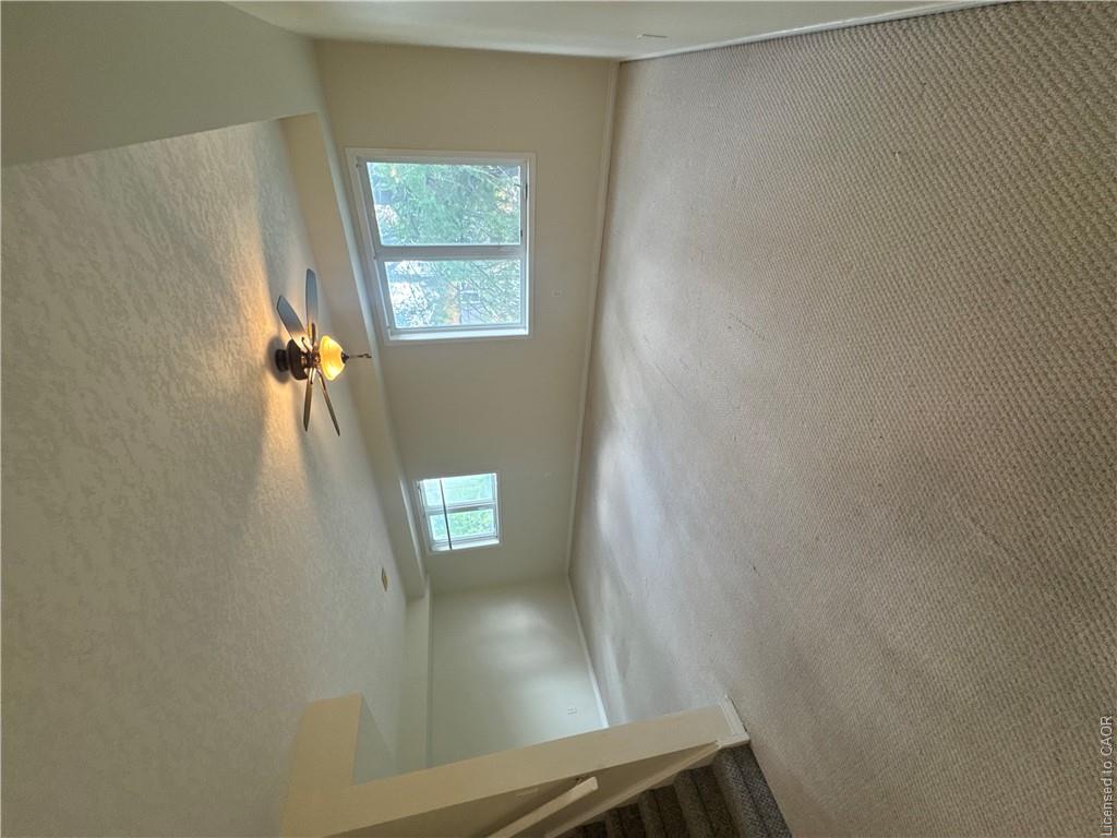 116 Walter Street Property Photo 9
