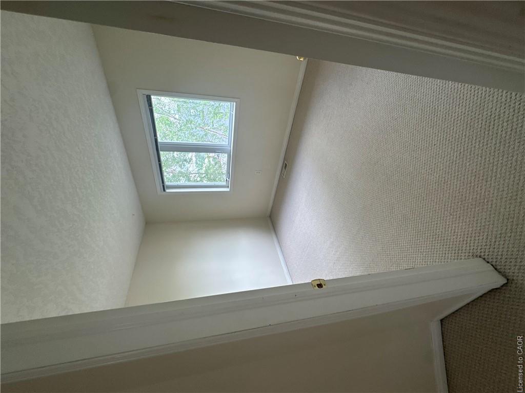 116 Walter Street Property Photo 15