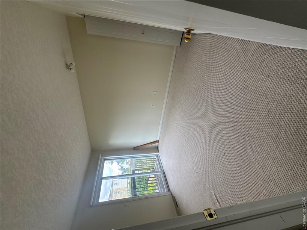116 Walter Street Property Photo 16