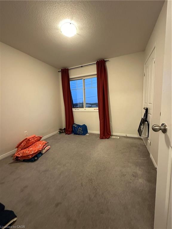 35 Eliza Avenue Property Photo 38