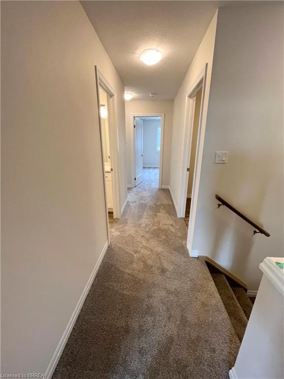 224 Renaissance Drive Property Photo 9