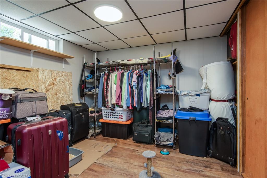 13 Lewis Street Property Photo 50