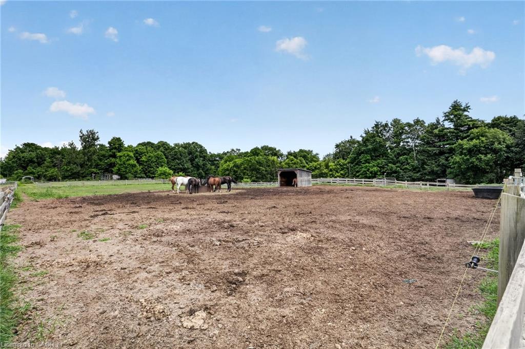 1396 Progreston Road Property Photo 46