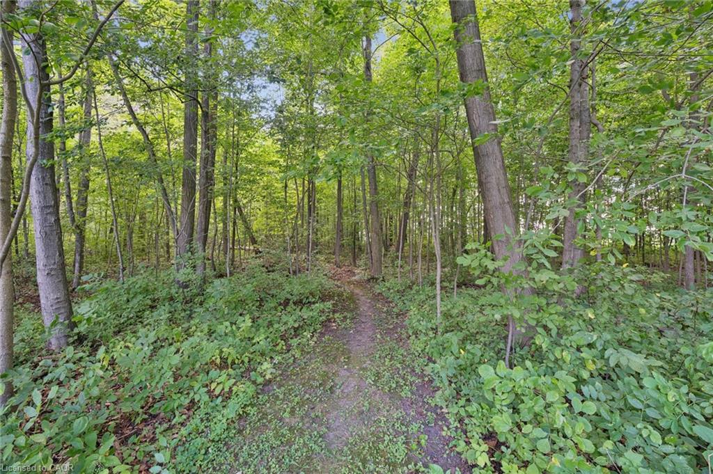 6776 Yatton Sideroad Sideroad Property Photo 40
