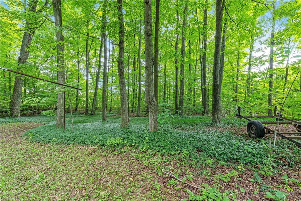 2529 Campbellville Road Property Photo 31