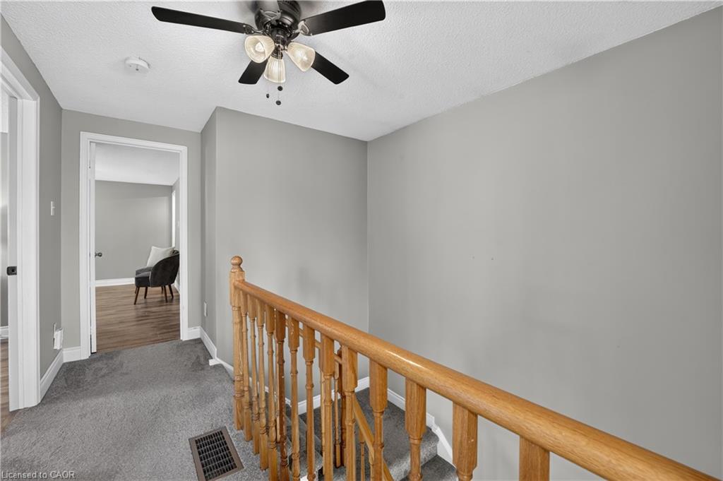 8 Horsham Street Property Photo 23