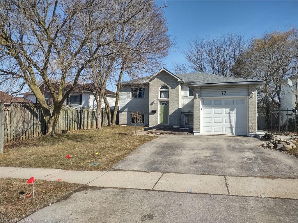 77 Canrobert Street Property Photo 1