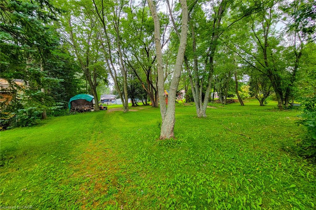 214 Miles Road Property Photo 49
