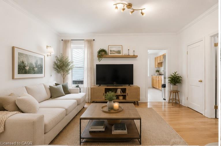 12 Nelson Street Property Photo 12