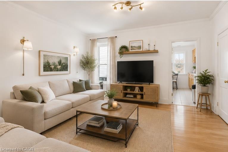 12 Nelson Street Property Photo 13