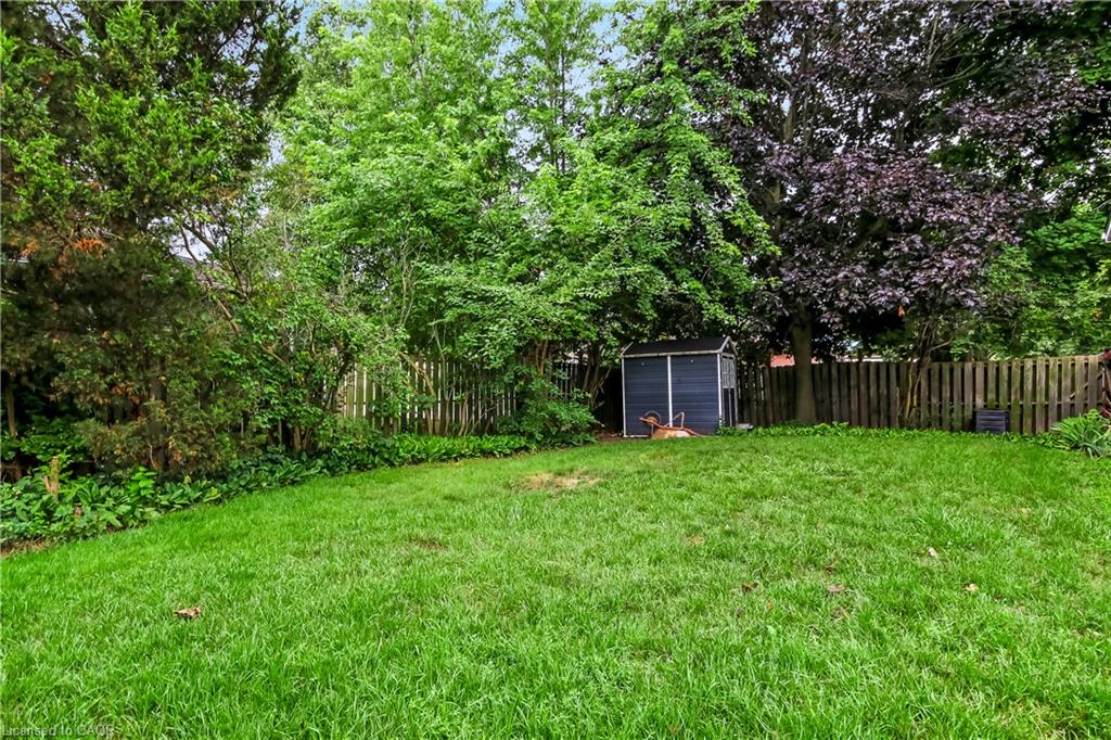 965 St George Street Property Photo 15