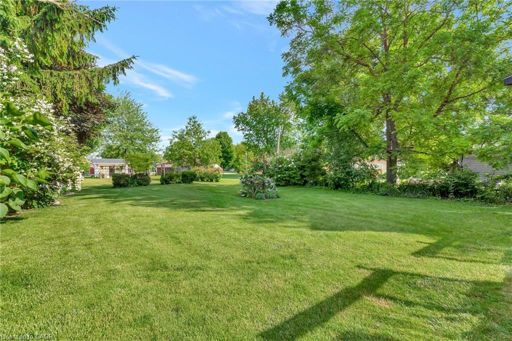 199 Ellen Street Property Photo 44