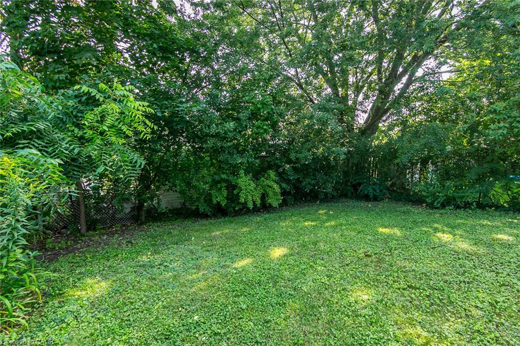 36 Amos Avenue Property Photo 43