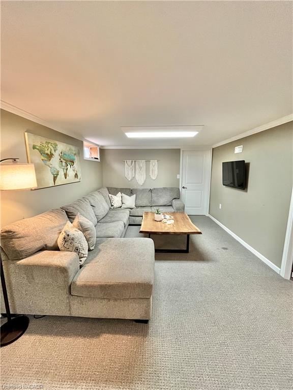241 Thorner Drive Property Photo 19