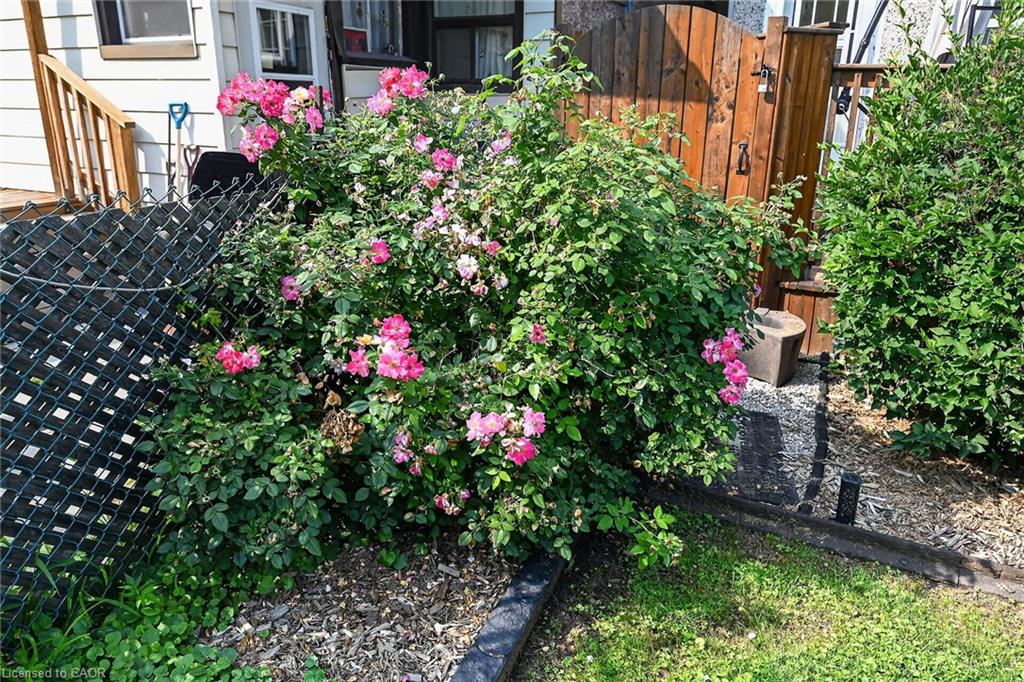 230 Picton Street E Property Photo 46