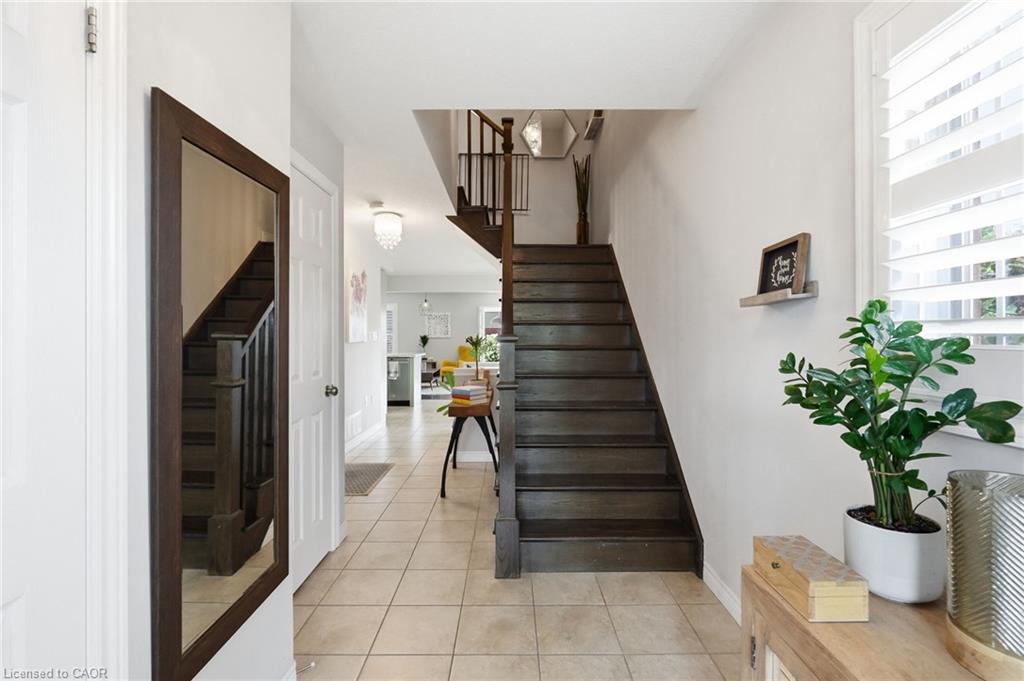 4 Whitworth Terrace Property Photo 6