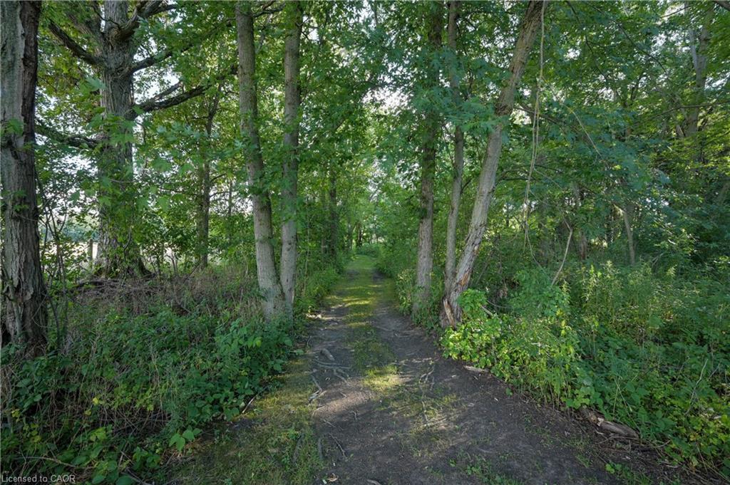 6471 15 Sideroad Property Photo 42