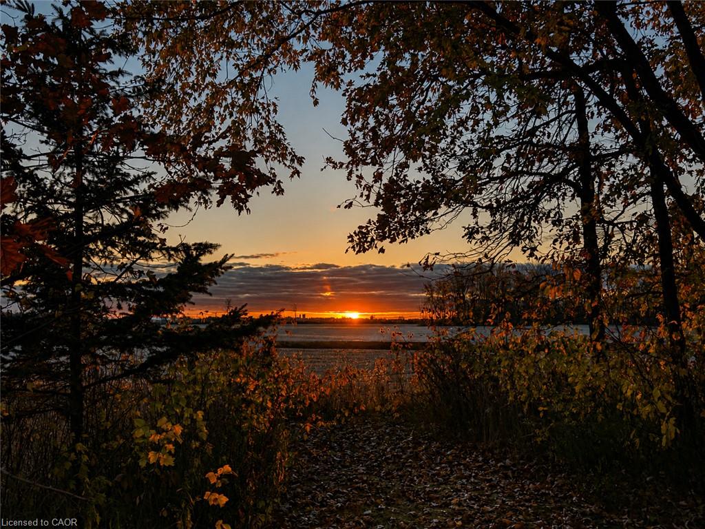 6471 15 Sideroad Property Photo 49