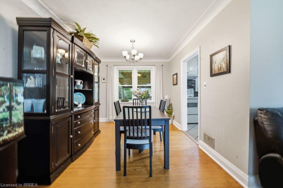 37 Burke Avenue Property Photo 19