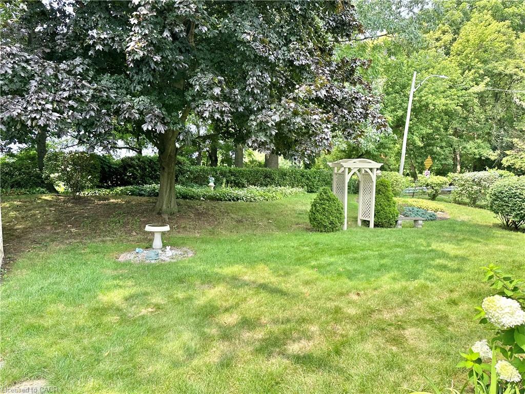 44 Douglas Avenue Property Photo 37