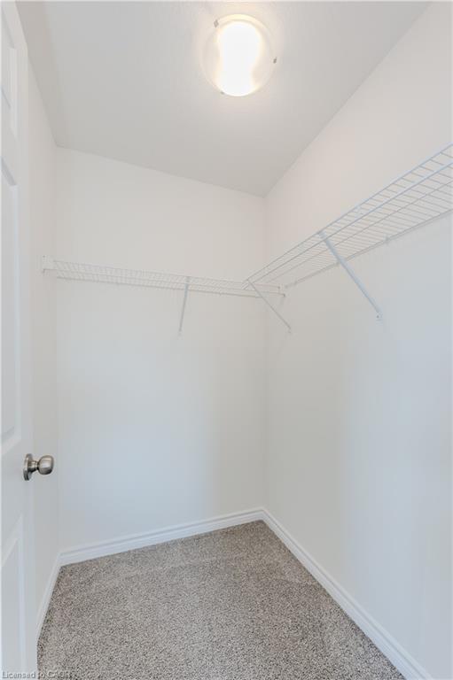 22 Lomond Lane Property Photo 42