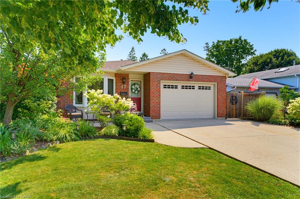 17 Buchanan Drive Property Photo 1