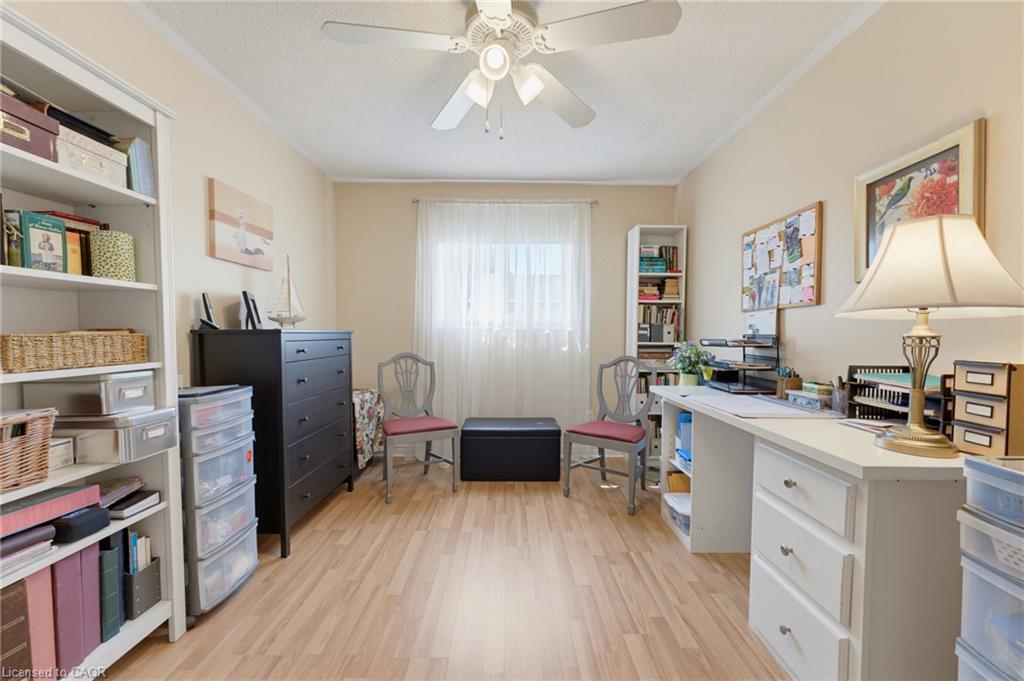 17 Buchanan Drive Property Photo 19