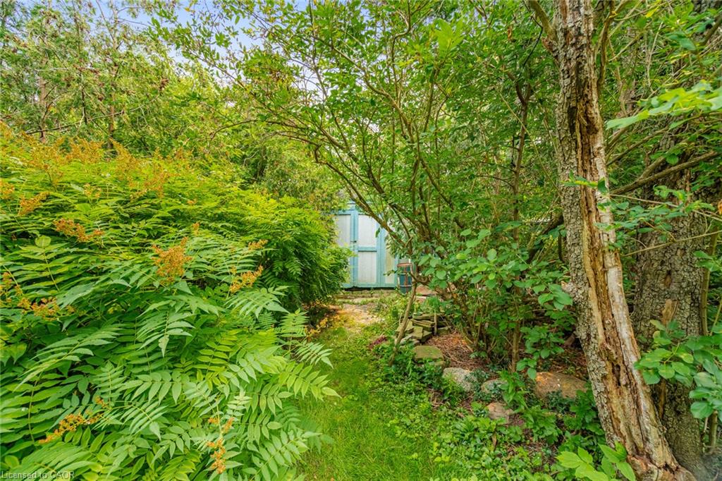 25 Arch Road Property Photo 36