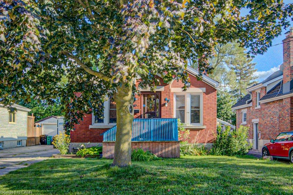 97 Francis Street Property Photo 3